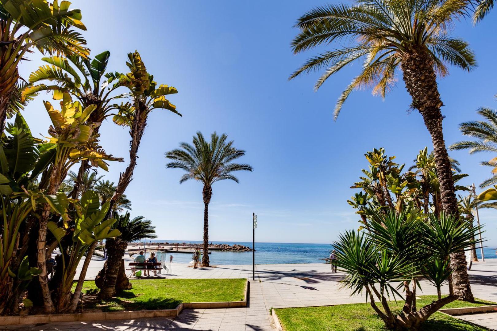Calle Concordia 86, Two Bedroom Apartment, Up To 6 Guests, Near Del Cura Beach,Supermarket Mercadona And Central Bus Station Torrevieja Kültér fotó